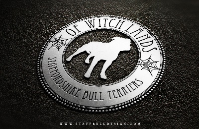 Of Witch Lands